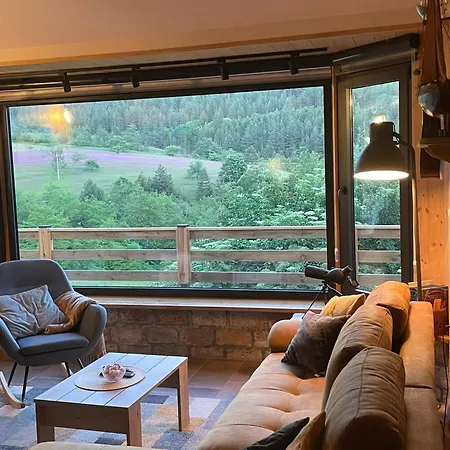 Дом отдыха Zemunica Resimic Мокра-Гора